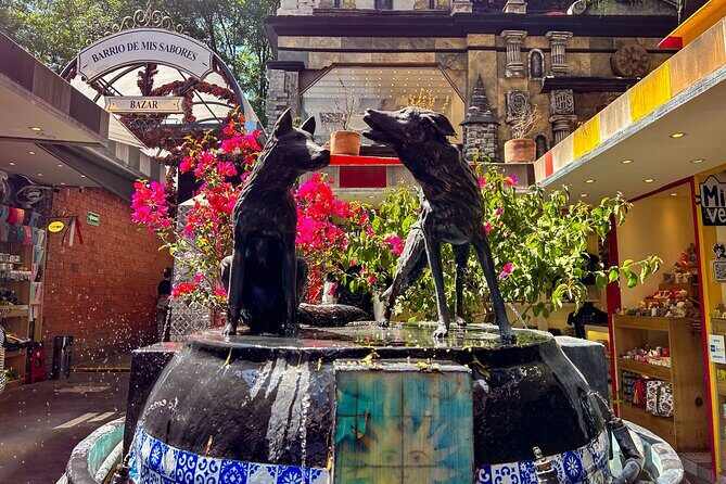 CDMX Enjoy a unique tour of Xochimilco and Coyoacán - Frequently Asked Questions