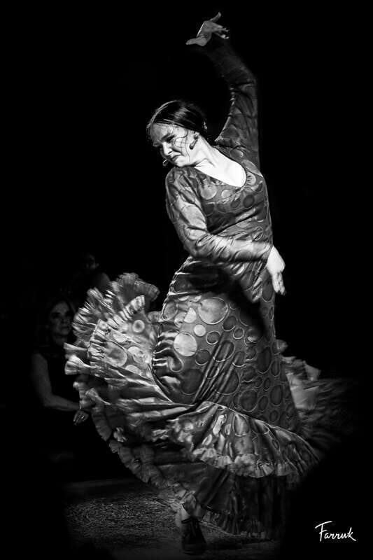 CDMX: Live Flamenco Show and Dinner - Key Points