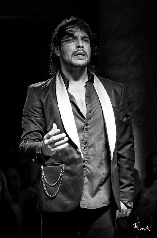 CDMX: Live Flamenco Show and Dinner - The Experience: What to Expect and Why It Matters