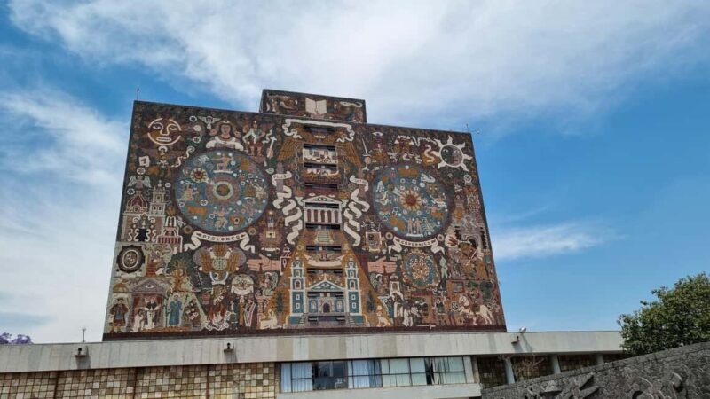 CDMX: Private tour of Xochimilco, Coyoacán, and the Frida Museum - Who Should Consider This Tour?