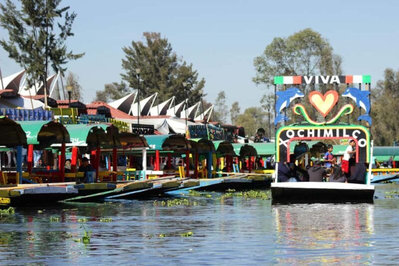 CDMX: Trajinera party in Xochimilco with tacos, music, and drinks - Authenticity and Value