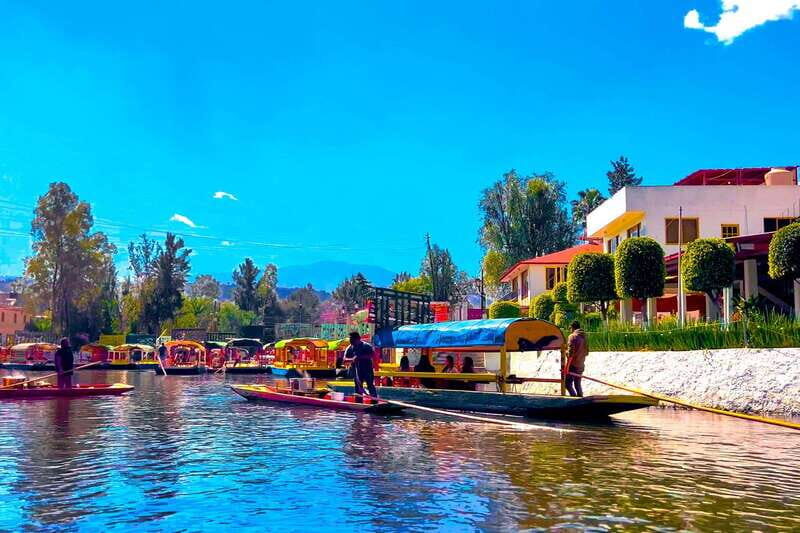 CDMX: Xochimilco Trajinera Party, Drinks, Mariachi & Tacos - Price & Whats Included
