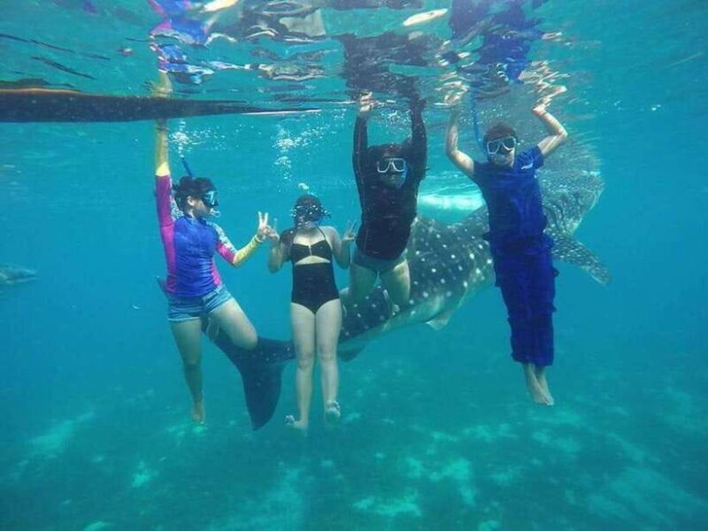 Cebu 2 Days Highlights Tour - Frequently Asked Questions