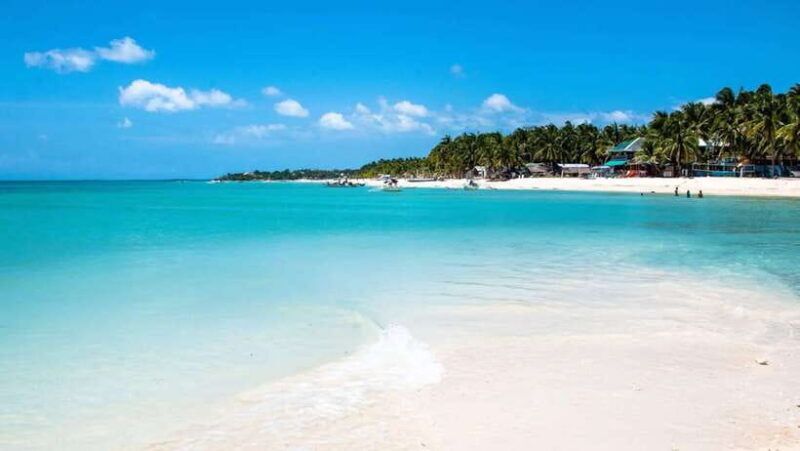 Cebu: Bantayan Island and Virgin Island Hopping Day Tour - What Travelers Say: Authentic Perspectives