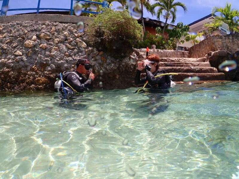 Cebu: Beach Scuba Diving Experience - Introduction