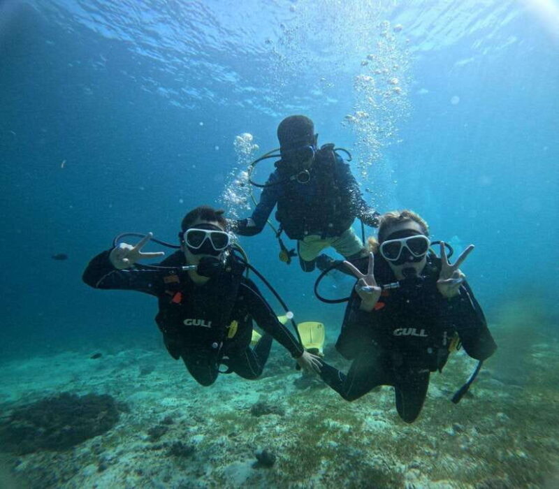 Cebu: Beach Scuba Diving Experience - Key Points