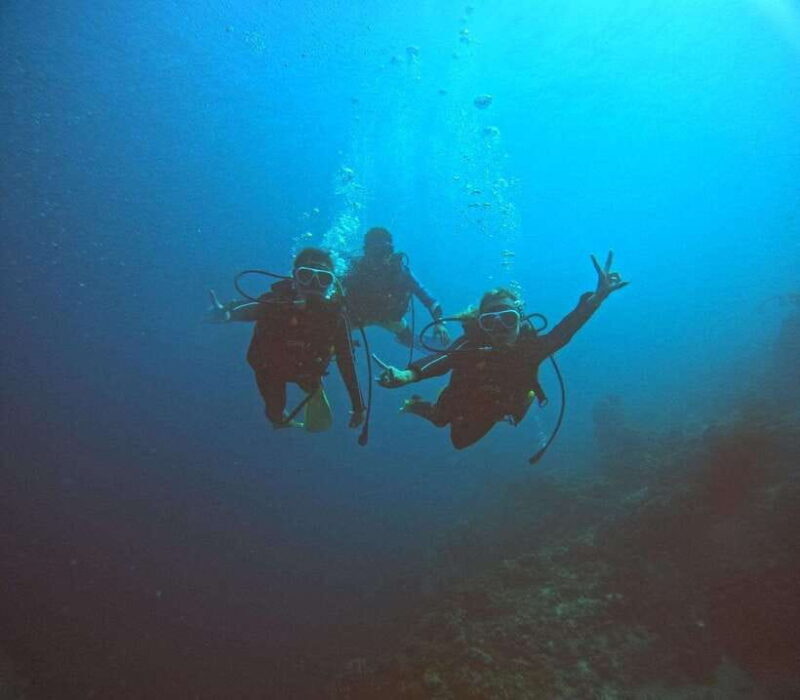 Cebu: Beach Scuba Diving Experience - The Value of the Experience