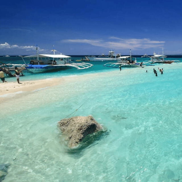Cebu BEST: Sumilon, Whaleshark and Turtle Snorkeling Tour - Key Points