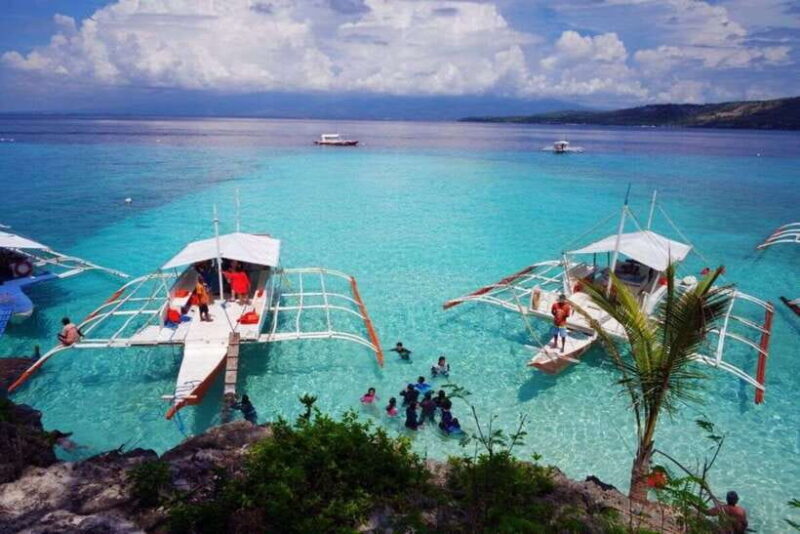 Cebu: Boat Day Trip with Whale Shark Swimming and Lunch - In-Depth Breakdown of the Itinerary