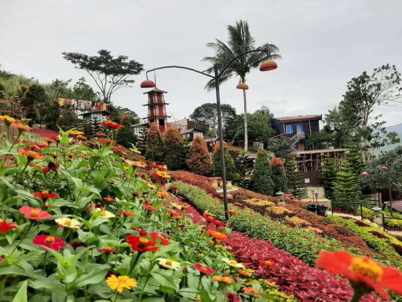 Cebu City: Cultural Heritage Tour & 10,000 Roses Visit - Key Points