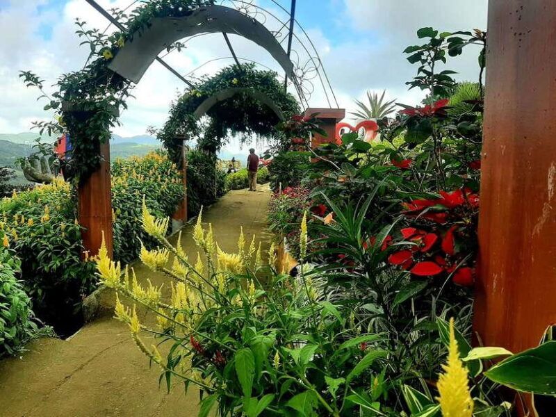 Cebu City: Cultural Heritage Tour & 10,000 Roses Visit - A Complete Guide to the Heritage and Roses Experience