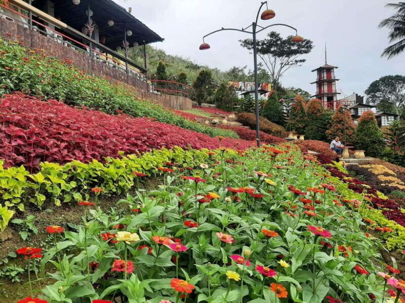 Cebu City: Cultural Heritage Tour & 10,000 Roses Visit - Practical Insights