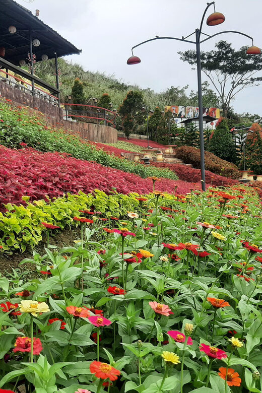 Cebu City: Cultural Heritage Tour & 10,000 Roses Visit - The Sum Up