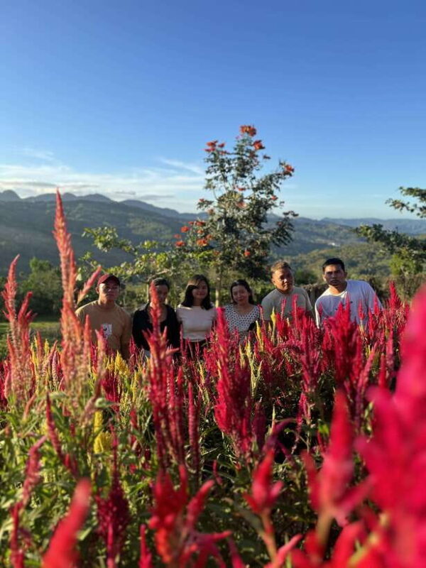 Cebu: City Highlights with Sirao Flower Garden Visit - Who Should Consider This Tour?