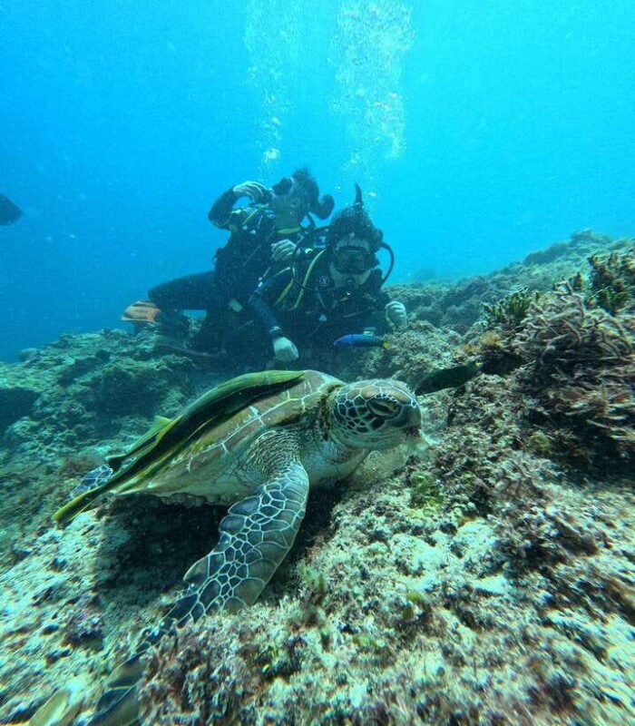 CEBU: Get Two level Certification in one trip (4N5D) - Why This Tour Delivers Value