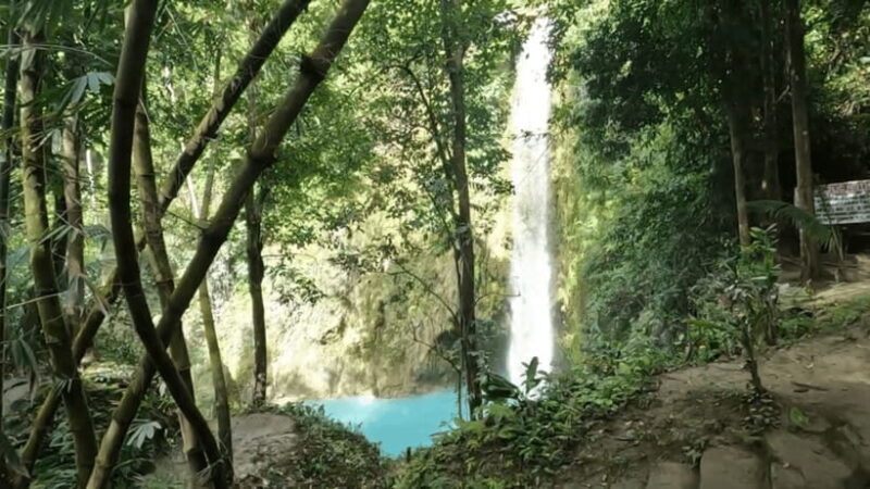 Cebu: Inambakan, Kawasan, and Mantayupan Falls Day Trip - Discovering Cebu’s Waterfalls: What You Can Expect