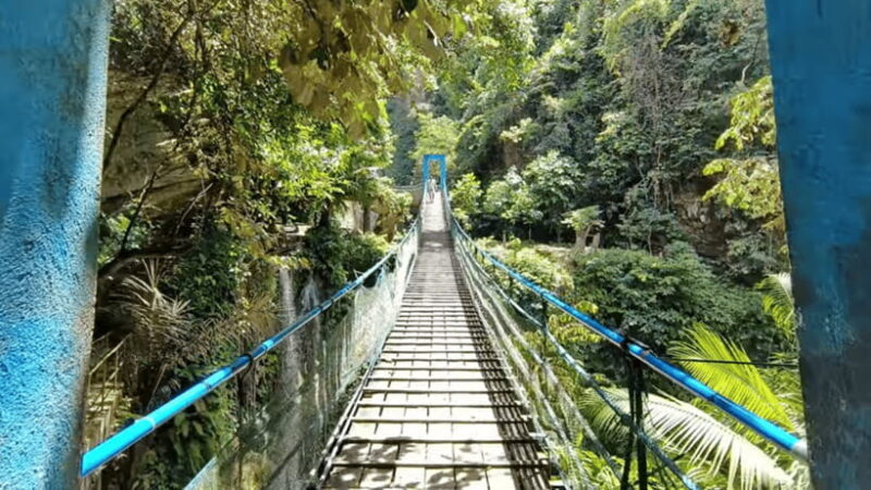 Cebu: Inambakan, Kawasan, and Mantayupan Waterfalls Tour - The Value Proposition