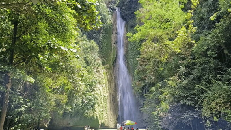 Cebu: Inambakan, Kawasan, and Mantayupan Waterfalls Tour - FAQ
