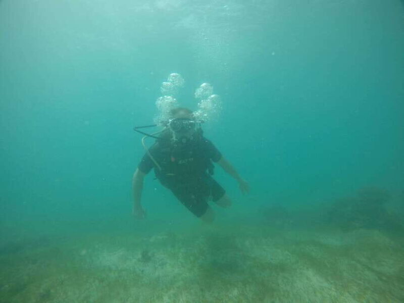 Cebu: Kanlahing Peak Sea of Clouds & Polpog-Nonok Stream - A Closer Look at the Tour Experience
