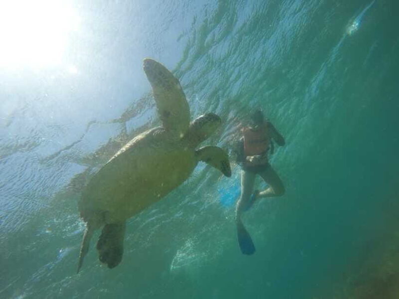 Cebu: Kawasan Canyoneering & Sardines Run and Turtle Chase - Final Thoughts