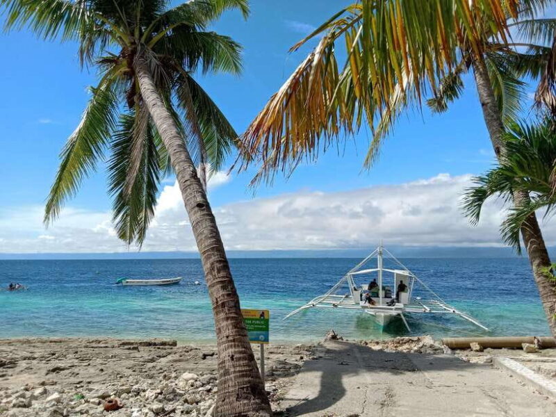 Cebu: Kawasan Canyoning, Moalboal Snorkeling, & Turtles Tour - Considerations for Potential Participants