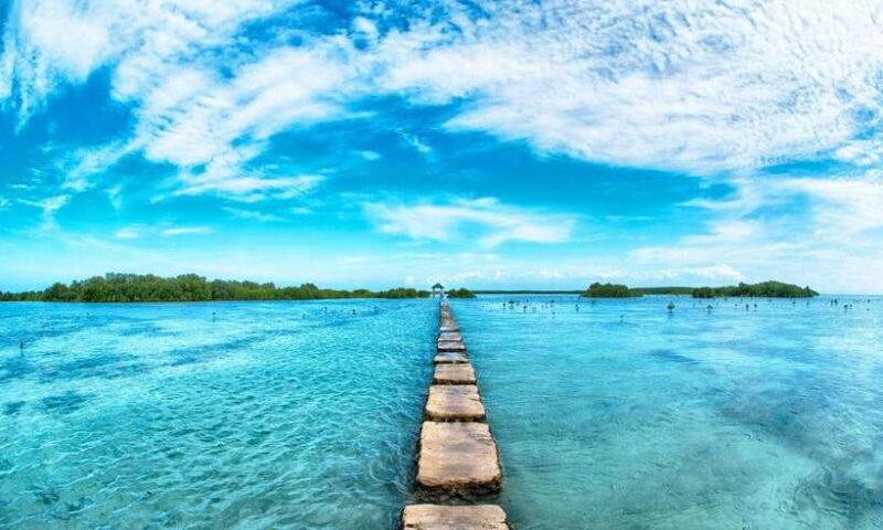 Cebu Mactan Island Hopping + Picnic Lunch (Private Tour) - Practical Details & Why They Matter