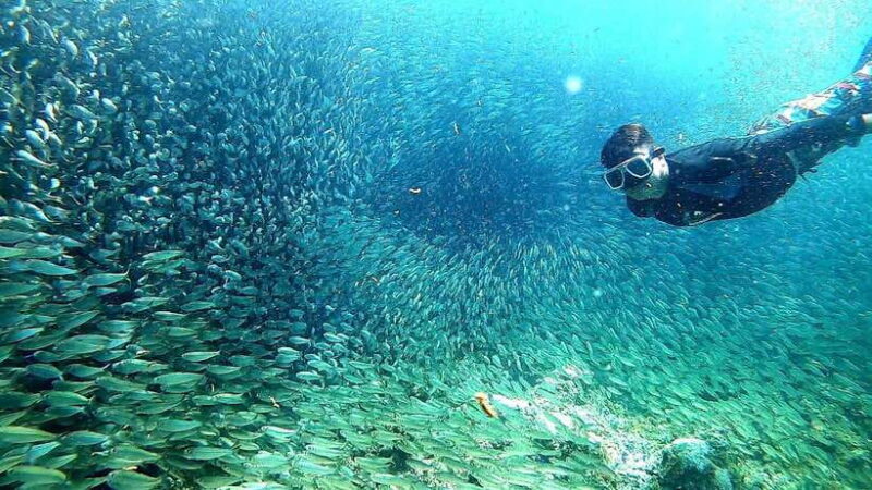 Cebu: Mactan Island Hopping Tour with Snorkeling - Key Points