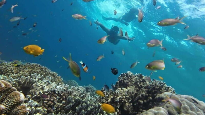 Cebu: Mactan Island Hopping Tour with Snorkeling - An In-Depth Look at the Mactan Island Hopping Tour