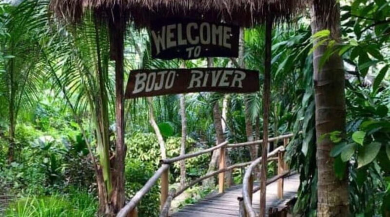 Cebu: Mantayupan Falls, Hermit's Cove & Bojo River Eco Tour - Bojo River: An Eco-Friendly Scenic Cruise