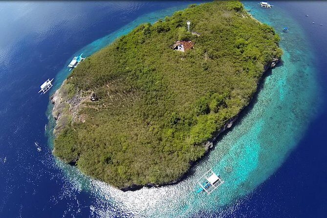 Cebu Moalboal Beach, Sardine Run, Sea Turtle Viewing + Canyoneering Tour - An Overview of the Tour Experience