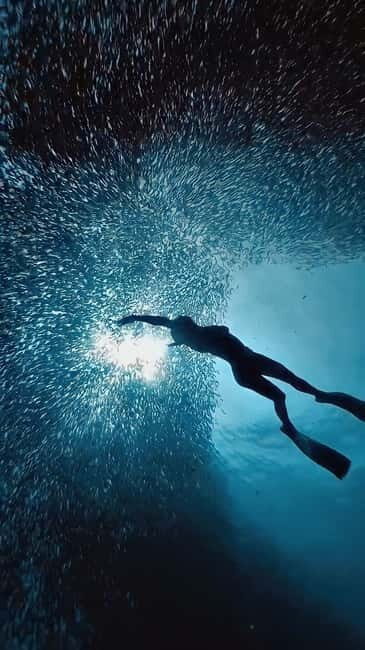 Cebu: Moalboal Sardine Run & Kawasan Falls Canyoneering - An In-Depth Look at Your Cebu Adventure