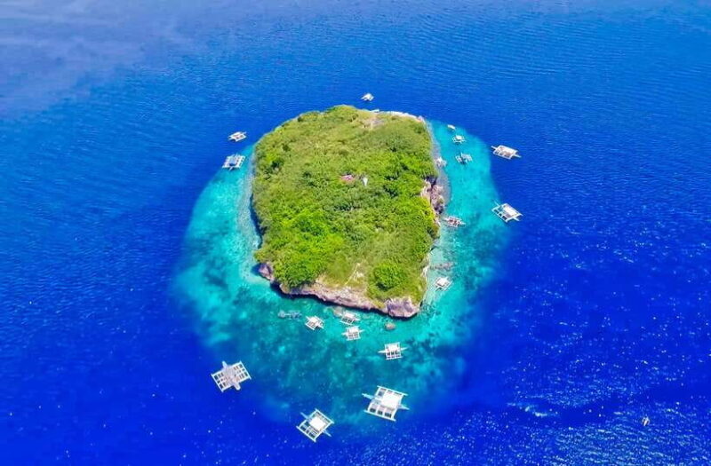 Cebu: Moalboal Sardines and Turtles Snorkeling Tour - Frequently Asked Questions