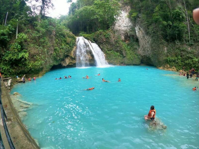 Cebu: Moalboal Sardines Run Snorkel & Kawasan Canyoneering - Who Will Love This Tour