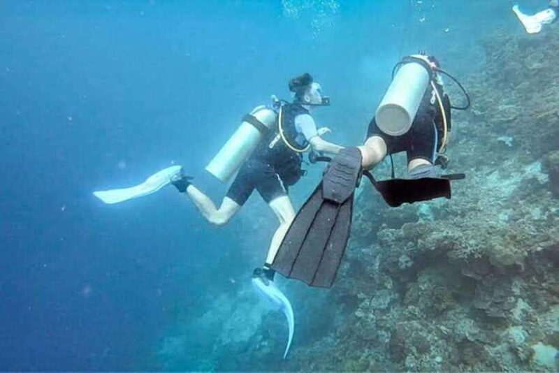 Cebu: Moalboal Scuba Diving, Sardines Run & Pescador Snorkel - A Detailed Look at the Moalboal Marine Adventure