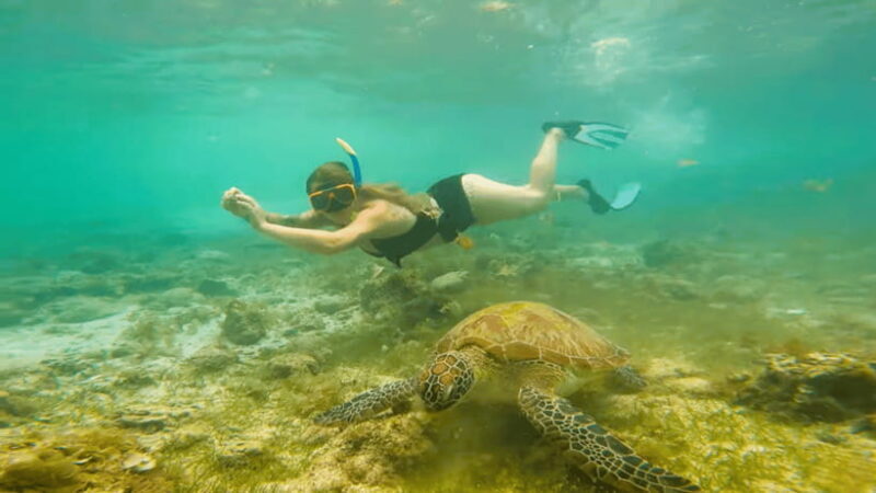 Cebu: Moalboal Snorkeling & Kawasan Canyoneering Adventure - The Scenic Journey and Final Reflection