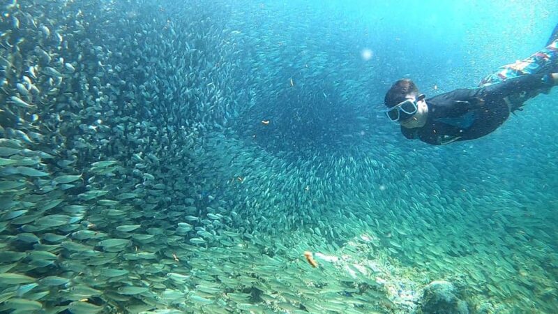 Cebu: Moalboal Snorkeling, Mantayupan Falls & ATV Adventure - FAQs