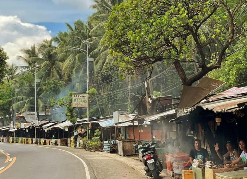 Cebu: Northern Beaches and Local Delicacies Tour - Introduction