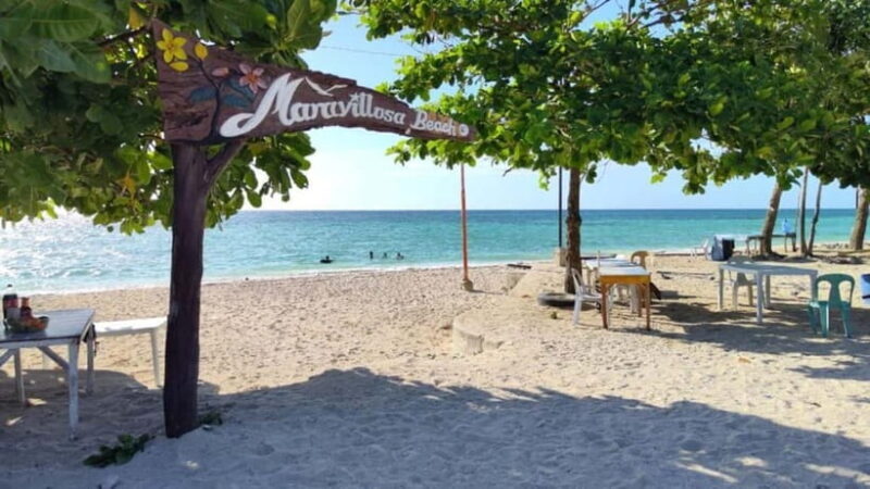 Cebu: Northern Beaches and Local Delicacies Tour - The Sum Up