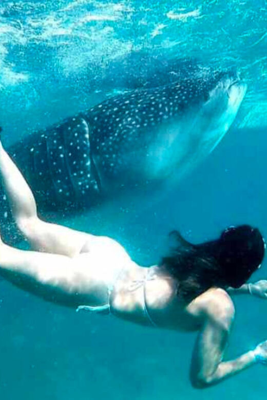 Cebu: Oslob Whale Shark, Sumilon, Ruins, Simala Church - Final Thoughts: Who Will Love This Tour?