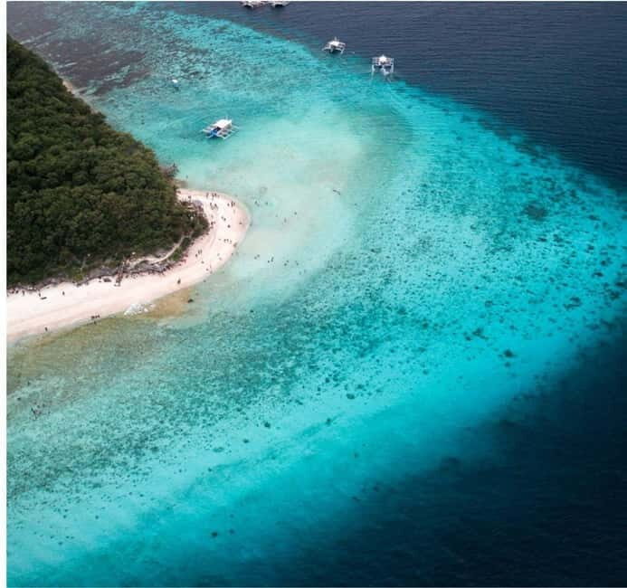 Cebu: Oslob Whale Shark Swim and Sumilon Island Day Tour - Authentic Experiences and What Travelers Say
