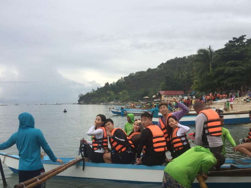Cebu: Oslob Whale Shark Swimming - An Honest Look at the Tour Experience