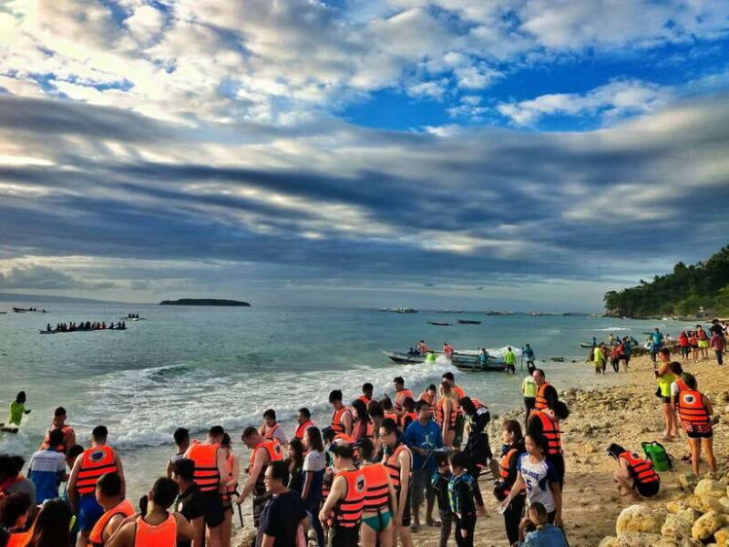 Cebu: Oslob Whale Shark Swimming - Price and Value Analysis