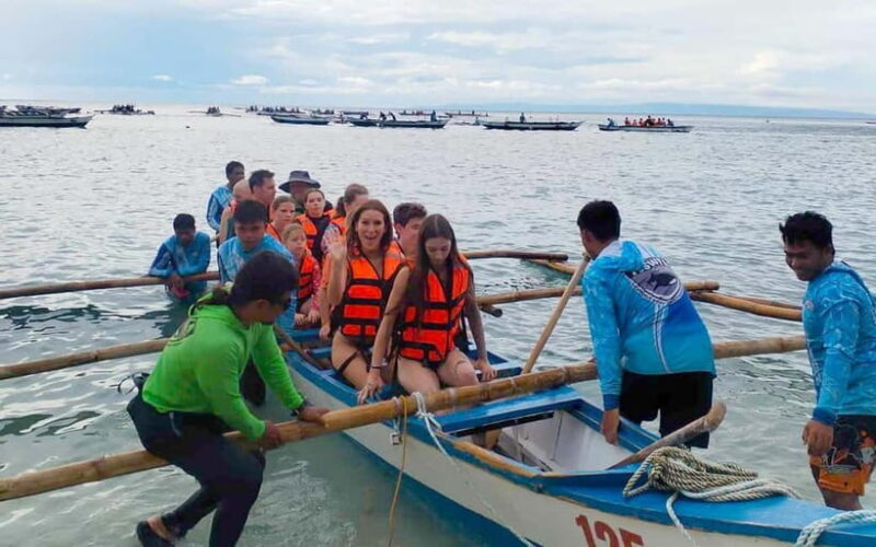 Cebu: Oslob Whale Shark, Tumalog Falls, and Sumilon Sandbar - Analyzing the Value