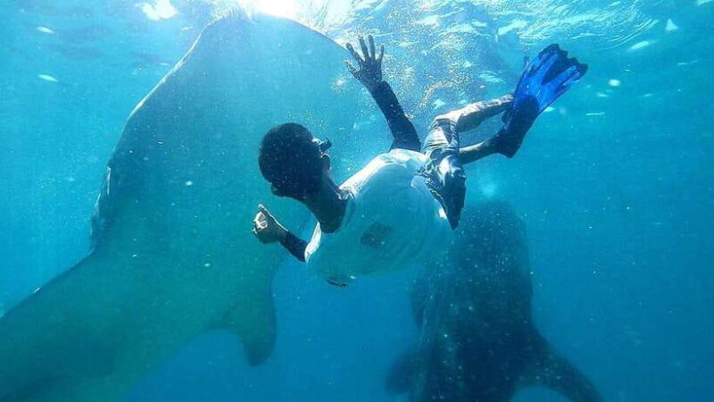 Cebu: Oslob Whale Shark Watching Tour with Hotel Transfer - Arrival and Safety Briefing