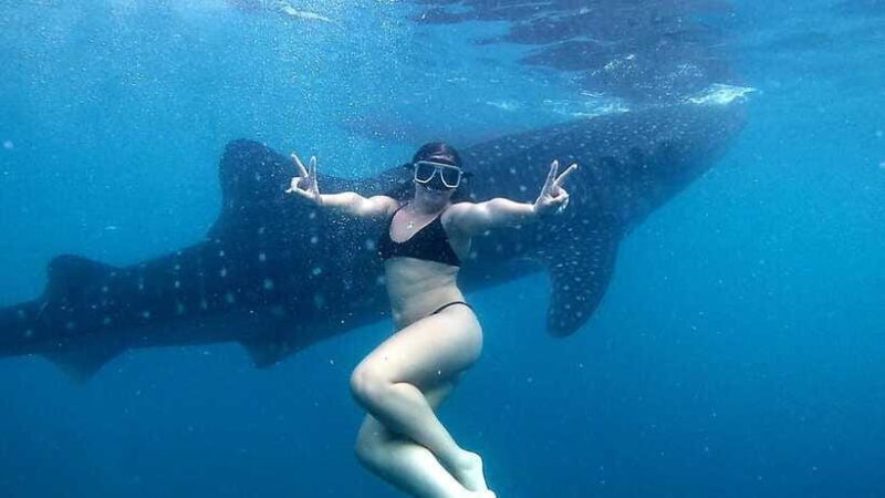 Cebu: Oslob Whale Shark Watching Tour with Hotel Transfer - Additional Activities and Flexibility