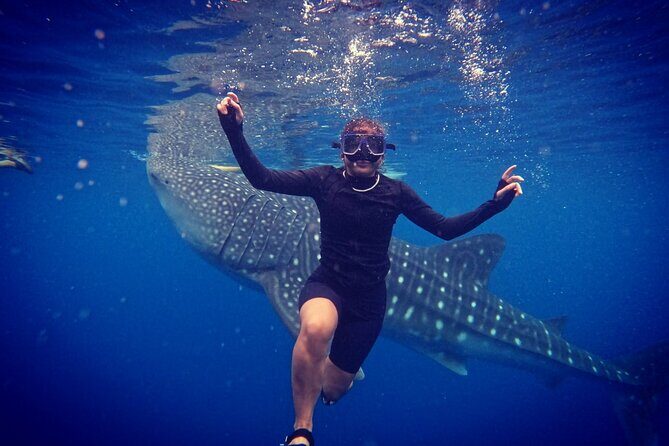 Cebu Oslob Whaleshark and Sumilon Island Full-Day Private Tour - What the Tour Means for You
