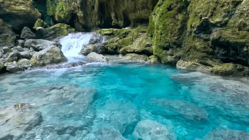 Cebu: Oslob Whaleshark & Canyoneering Group Tour with Lunch - FAQ