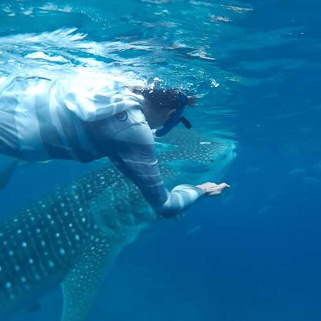 Cebu: Oslob Whaleshark Experience Shared Tour - Who Is This Tour Best For?