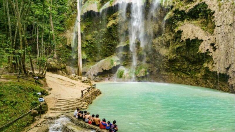 Cebu Oslob Whaleshark, Tumalog Falls&Sumilon Island(Private) - Who Will Love This Tour?