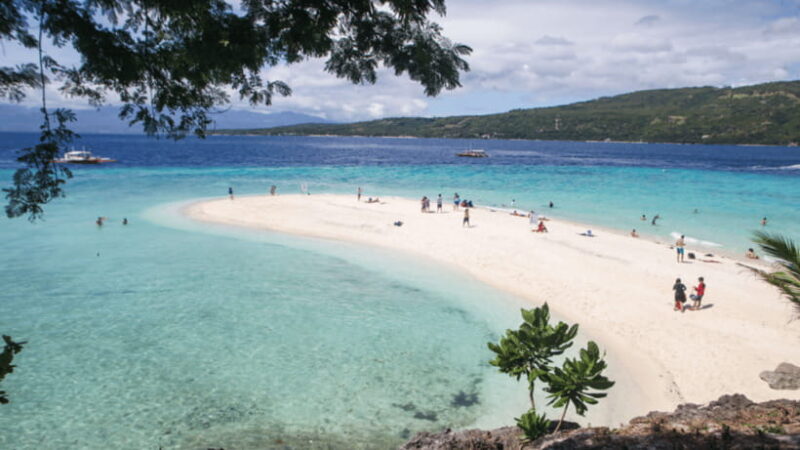 Cebu Oslob Whaleshark, Tumalog Falls&Sumilon Island(Private) - Final Thoughts on This Tour